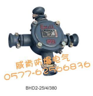 供應(yīng) 礦用隔爆型低壓接線盒BHD2-40/380-2T.3T.4