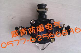 供應(yīng) 礦用隔爆型低壓接線盒BHD2-40/380-2T.3T.4