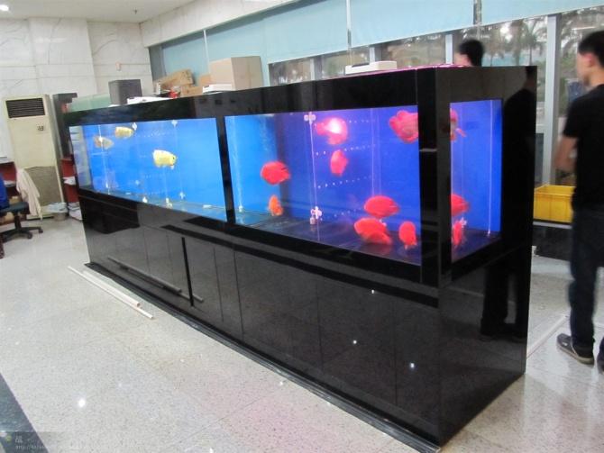 供應(yīng)廣州訂做魚缸.廣州定做魚缸 廣州亞克力訂做 廠家直銷