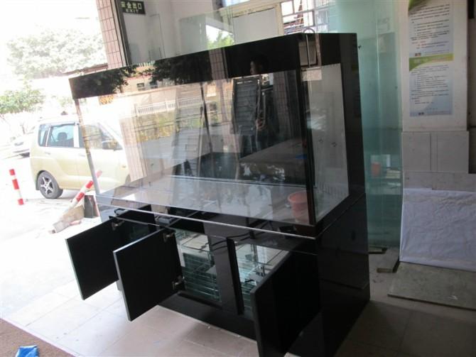 廣州海意魚缸生產(chǎn)批發(fā)生產(chǎn)廠家圖片/廣州海意魚缸生產(chǎn)批發(fā)生產(chǎn)廠家樣板圖 (2)