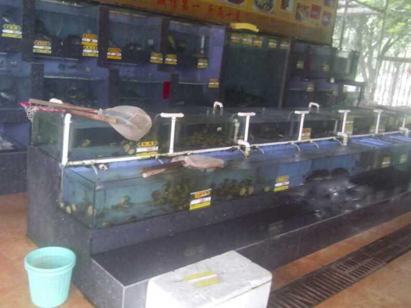 供應(yīng)廣州訂做魚缸.廣州定做魚缸 廣州亞克力訂做 廠家直銷