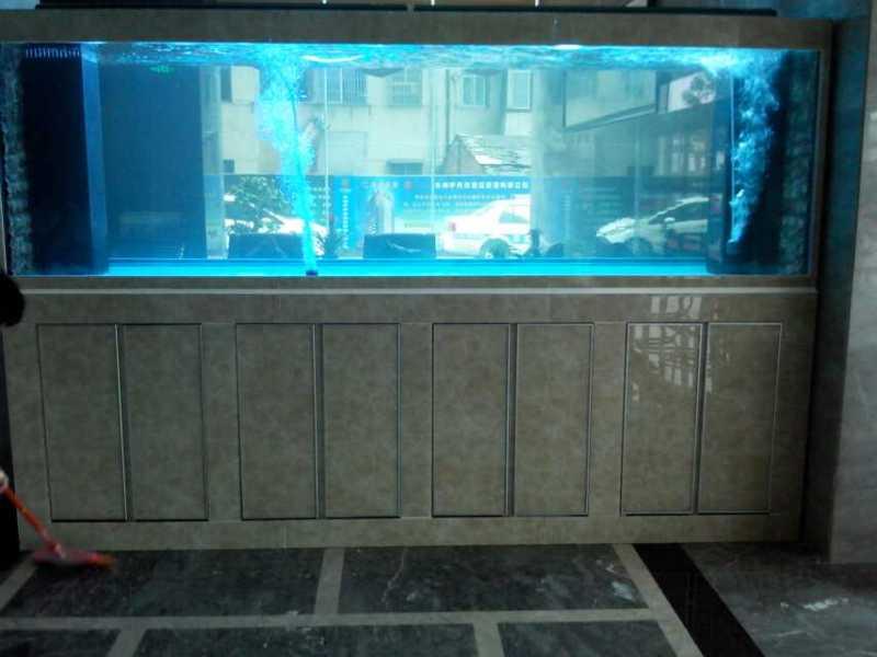 廣州海意魚缸生產(chǎn)批發(fā)生產(chǎn)廠家圖片/廣州海意魚缸生產(chǎn)批發(fā)生產(chǎn)廠家樣板圖 (4)