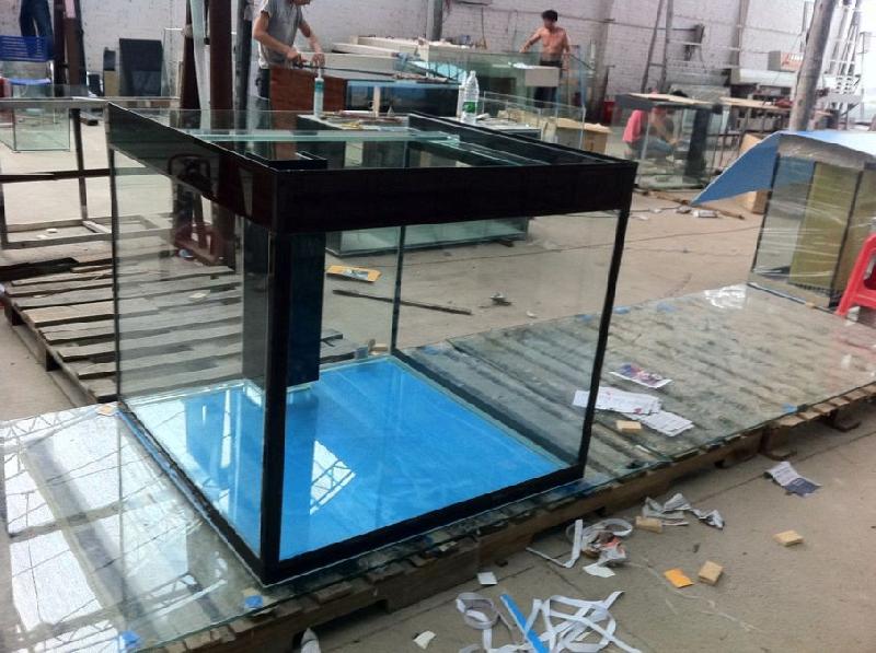 供應(yīng)廣州海水淡水缸廠家訂做 廣哪里有海水淡水缸訂做廠家