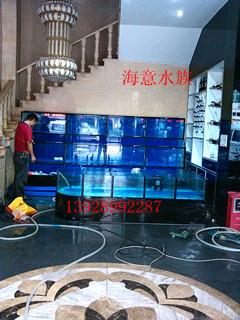 供應廣州觀賞魚缸廠家 觀賞魚缸供應商 廣東觀賞魚缸