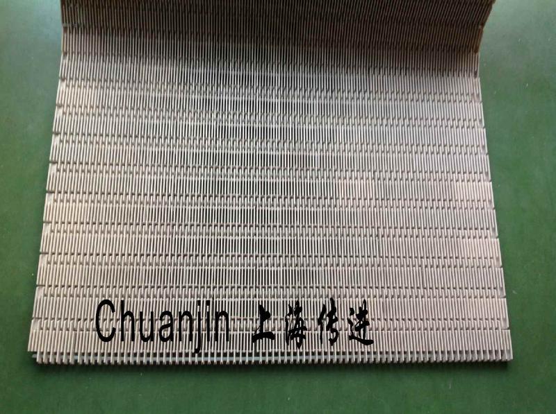 供應(yīng)塑料網(wǎng)帶4809系列網(wǎng)帶900網(wǎng)帶鏈輪