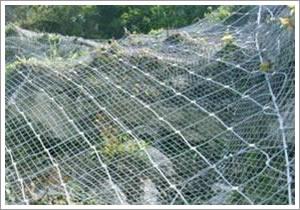 供應(yīng)SNS柔性邊坡防護(hù)網(wǎng)/SNS環(huán)型網(wǎng)    廠家直銷(xiāo)