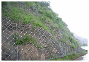 供應(yīng)SNS柔性邊坡防護(hù)網(wǎng)/SNS環(huán)型網(wǎng)    廠家直銷(xiāo)