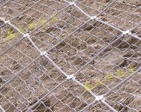 供應(yīng)SNS柔性邊坡防護(hù)網(wǎng)/SNS環(huán)型網(wǎng)    廠家直銷(xiāo)