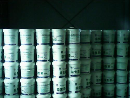 供應(yīng)滄州益生素廠家