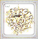 供應(yīng)百合苗