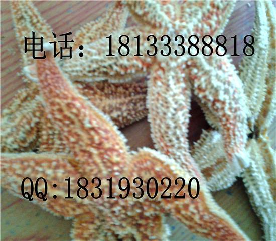 供應(yīng)鬼針草種子