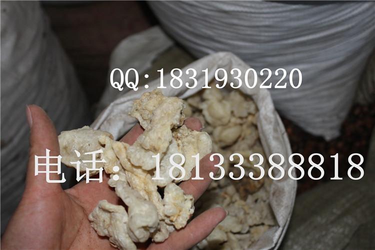 供應(yīng)蓽澄茄