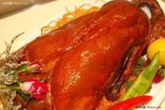 供應(yīng)蘇州燃?xì)饽咎靠绝啝t多少錢