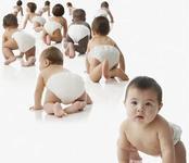 供應(yīng)紙尿褲進口*理公司139173307