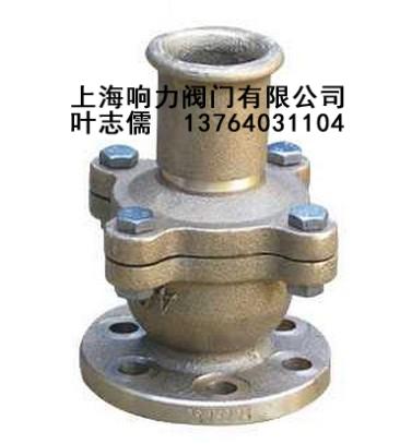 船用法蘭鑄鐵青銅吸入止回閥報價圖片