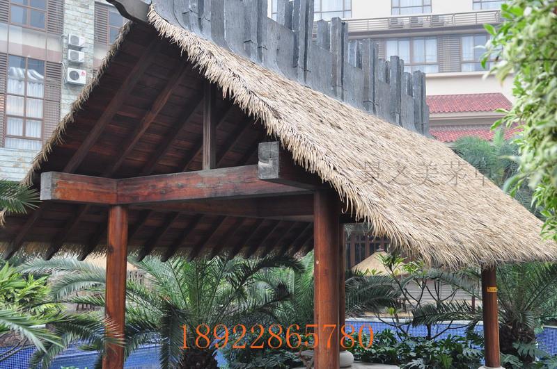 供應三亞仿真茅草，三亞仿真茅草優(yōu)質供應商，廣州深圳三亞仿真茅草