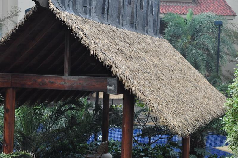 供應(yīng)屋頂仿真茅草系列茅草