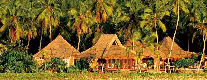 供應(yīng)東南亞熱帶風(fēng)格仿真茅草系列茅草