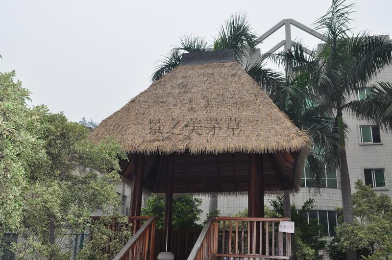 供應三亞仿真茅草，三亞仿真茅草優(yōu)質供應商，廣州深圳三亞仿真茅草