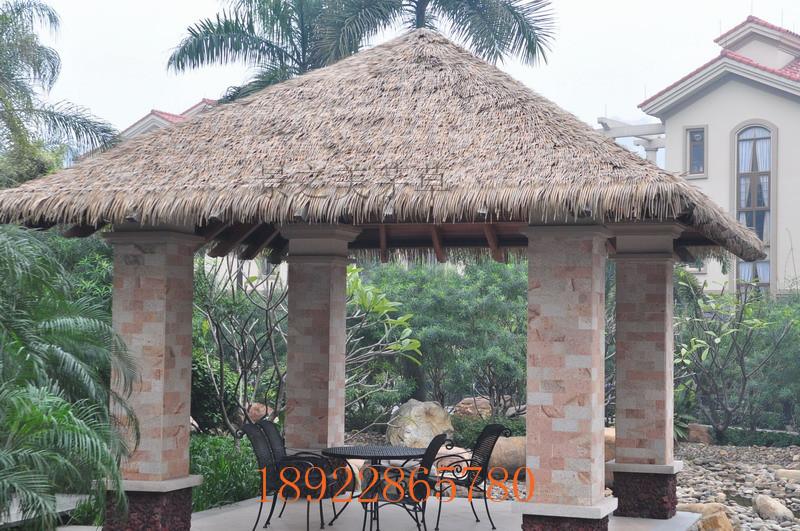 供應(yīng)?？诜抡婷┎萑嗽烀┎?  title=