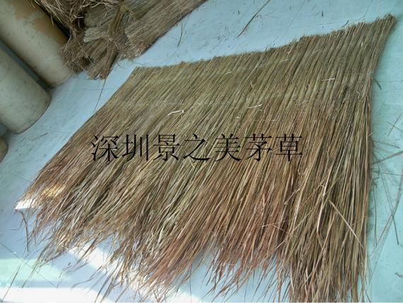 供應(yīng)天然茅草片及裝飾性真茅草