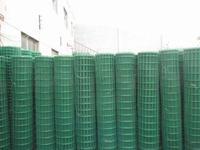 荷蘭網(wǎng)圖片/荷蘭網(wǎng)樣板圖 (2)