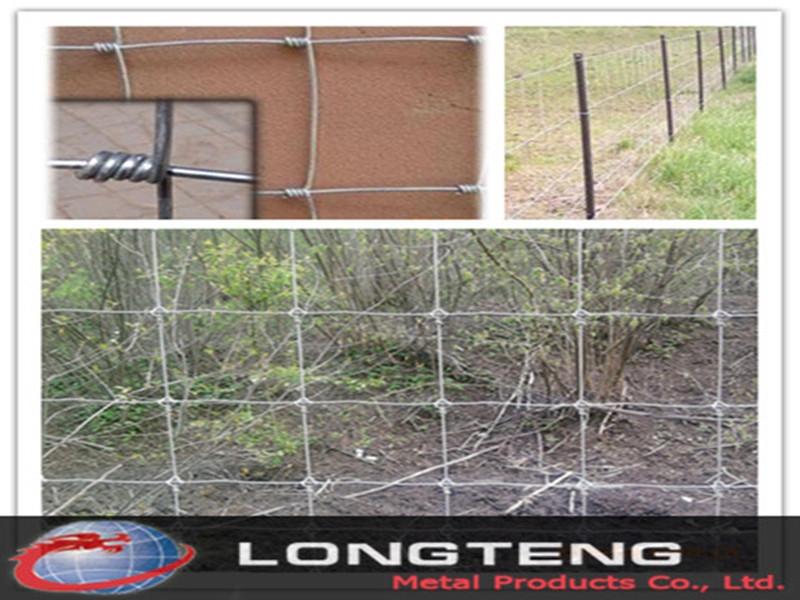 供應(yīng)昆明牛欄網(wǎng)昆明草原網(wǎng)昆明隔離網(wǎng)