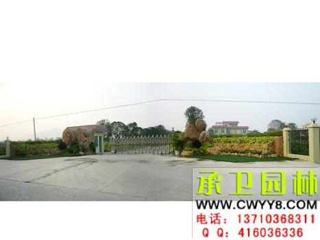 供應(yīng)黃蠟石假山魚池假山庭院設(shè)計(jì)花園設(shè)計(jì)魚池假山養(yǎng)魚池花架涼亭