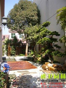 供應(yīng)園林假山設(shè)計廣州園林假山設(shè)計，塑石假山設(shè)計，塑石假山建造