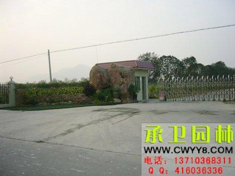 假山盆景石圖片/假山盆景石樣板圖 (3)