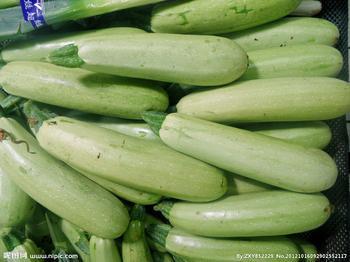 供應(yīng)聊城番茄總公司