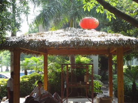 供應(yīng)廈門澤綠塑料茅草瓦