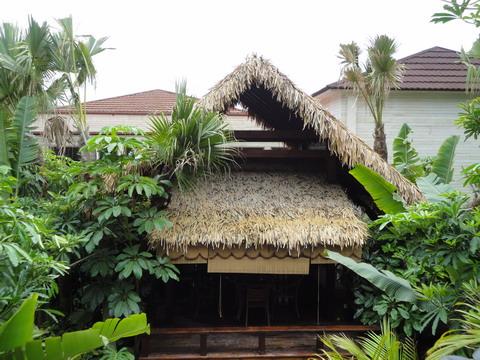 供應(yīng)仿真鄉(xiāng)村茅草