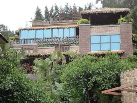 供應(yīng)東南亞風(fēng)格茅草屋瓦