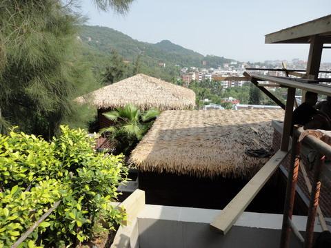 供應(yīng)廈門澤綠塑料茅草瓦