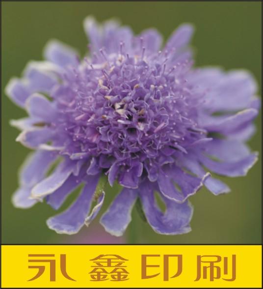 供應(yīng)廣州市科學(xué)城永鑫名片印刷廠