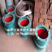 鋼制柔性防水套管DN100圖片