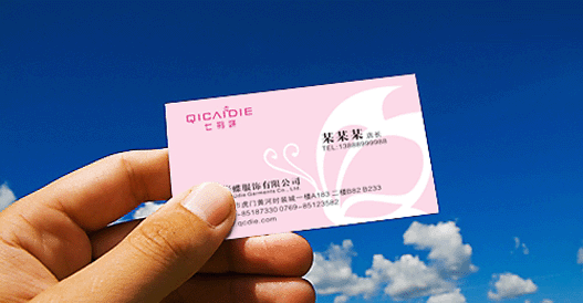 七彩蝶時(shí)尚淑女品牌形象標(biāo)志VI圖片