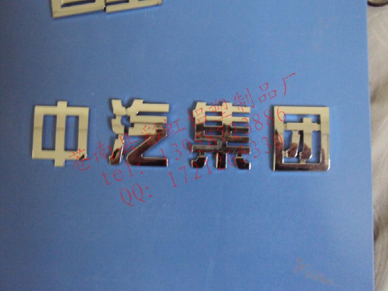 汽車標(biāo)牌圖片/汽車標(biāo)牌樣板圖 (3)