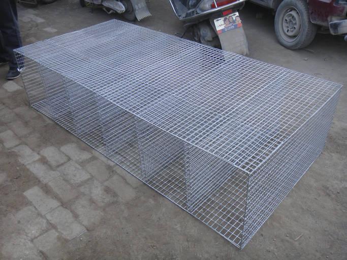 潮汐苗床 新型育苗床