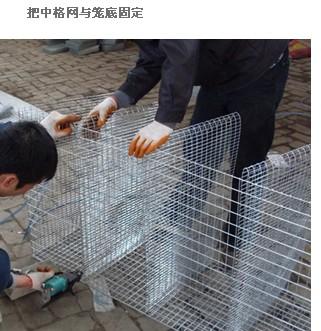 潮汐苗床 新型育苗床