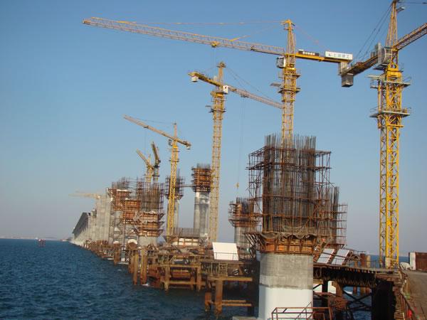 供應阿勒泰TC5610型塔吊