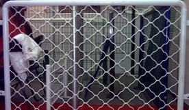 供應(yīng)成都防盜美格網(wǎng)