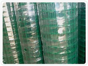 涂塑電焊網(wǎng)