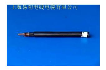供應(yīng)用于的鎧裝控制電纜，KVV22
