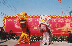 供應(yīng)北京舞龍舞獅