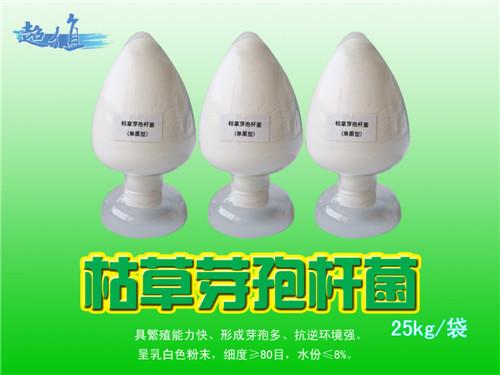 供應雞育肥飼料