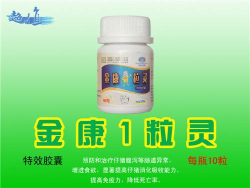 供應(yīng)牛羊育肥