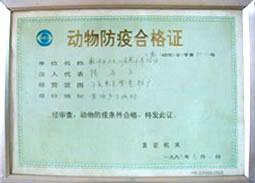 供應(yīng)肉牛養(yǎng)殖技巧與效益