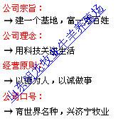 供應(yīng)最正規(guī)的小尾寒羊養(yǎng)殖場(chǎng)